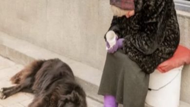 Photo of She lived on the streets, but she did not beg for money