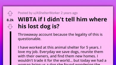Photo of Animal Shelter Worker Rehomes Neighbor’s Lost Dog Without Him Knowing