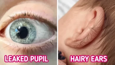 Photo of 13 People Who Are So Good at Spotting Things, Even Sherlock Holmes Can’t Compete