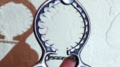 Photo of I had no idea what it was used for until one person revealed it