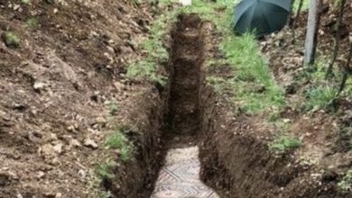 Photo of Ancient Roman Mosaic Floor Discovered Beneath an Italian Vineyard.