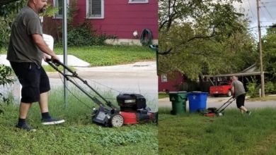 Photo of 28 Years After Divorce, My Dad Still Mows My Mom’s Lawn