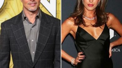 Photo of Brad Pitt Aims to Build a Family with Beloved Ines de Ramon and Plans to Become a Father Again