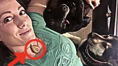Photo of Man Gives Girlfriend A Necklace, 2 Years Later She Screams When She Realizes What’s Inside