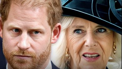 Photo of HARRY CHOSE NOT TO STAY IN THE SAME ROOM WITH CAMILLA WHILE VISITING AILING DAD — INSIDE THEIR RELATIONSHIP