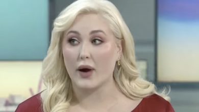 Photo of More And More Plus-Sized Celebrities Are Furious Airlines Are Starting To Weigh Passengers