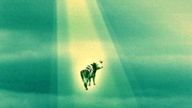 Photo of A Stunning Video Reveals a Portal Connecting to Extraterrestrial Beings, with Unidentified Flying Objects Gracefully Passing Through the Gateway.