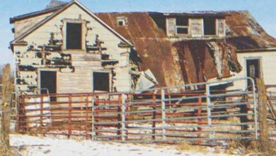Photo of After 53 years of silence, the woman who had disregarded his heartfelt letters finally returned to the man she left behind—only to find his home in ruins, unveiling a gripping tale of lost love and lingering remorse