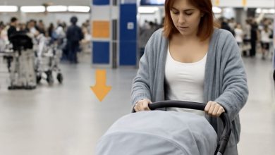 Photo of Service Shepherd Dog Charges a Stroller at the Airport — What It Discovered Stunned Everyone