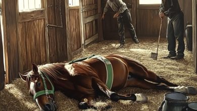 Photo of JUST WHEN DESPAIR WAS AT ITS PEAK, A NOBLE STALLION RALLIES TO THE RESCUE