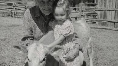 Photo of Beyond the Farmhouse: The Hidden Legacy Grandma Left Behind