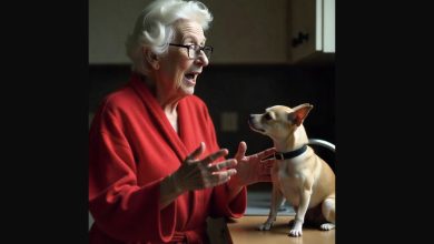 Photo of Fed Up with My Mother-in-Law’s Dog? Here’s the One Fix That Restored My Peace