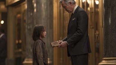 Photo of A nine-year-old girl living on the streets discovered a wallet packed with cash—and when it turned out to belong to a famous lawyer, his reaction floored everyone
