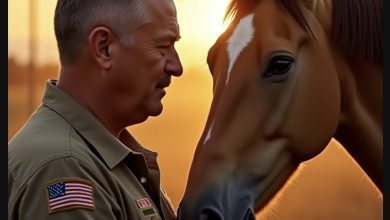 Photo of He Thought His Battle Horse Had Forgotten Him Forever — Until One Sound Changed Everything
