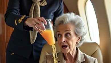 Photo of “She Mocked an Elderly Passenger in First Class — Then Discovered the Woman Could Shut Down Her Entire Airline”