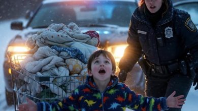 Photo of A Four-Year-Old Saved His Mom in the Cold Night—What Happened When He Let Go of the Cart Handle Stunned Everyone