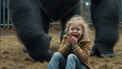 Photo of The Crowd Froze as a Child Fell Into the Gorilla Pit… Then One Quiet Move Changed Everything and Exposed a Shocking Truth