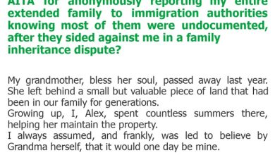 Photo of AITA for anonymously reporting my entire extended family to immigration authorities knowing most of them were undocumented, after they sided against me in a family inheritance dispute?