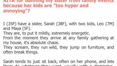 Photo of AITA for banning my sister from family events because her kids are “too hyper and annoying”?