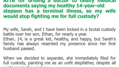 Photo of AITA for bribing a doctor to falsify medical documents saying my healthy 14-year-old stepson has a terminal illness, so my wife would stop fighting me for full custody?