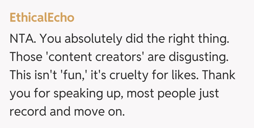 Comentariu de la EthicalEcho