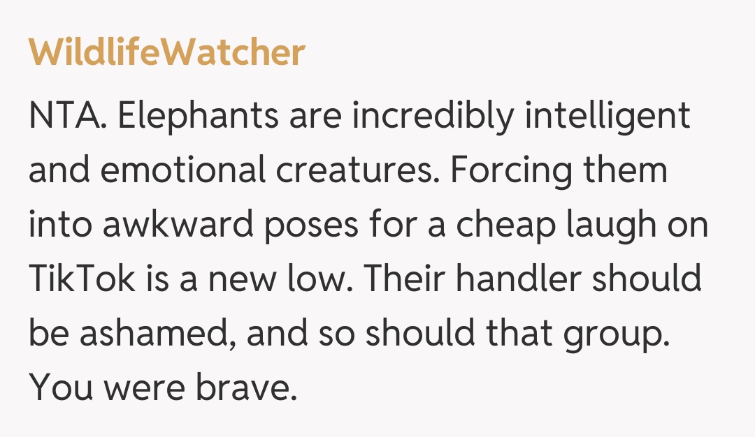 Comentariu de la WildlifeWatcher