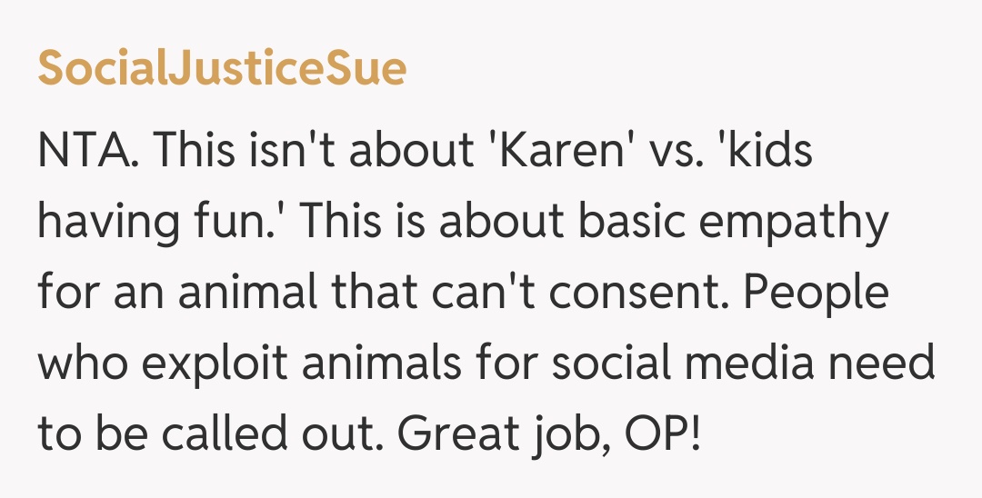 Comentariu de la SocialJusticeSue