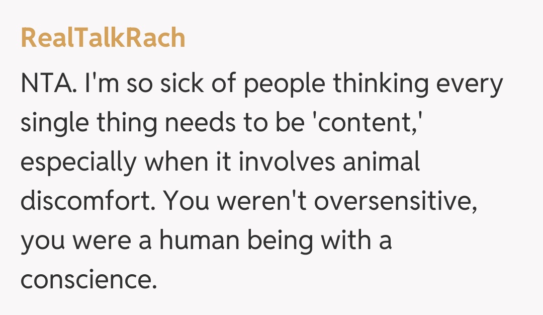 Comentariu de la RealTalkRach