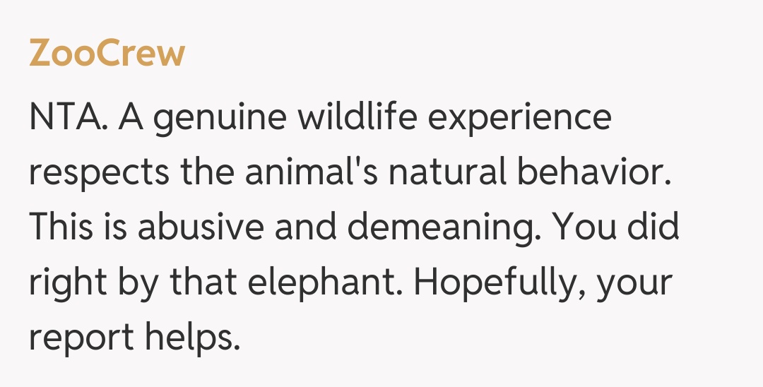 Comentariu de la ZooCrew