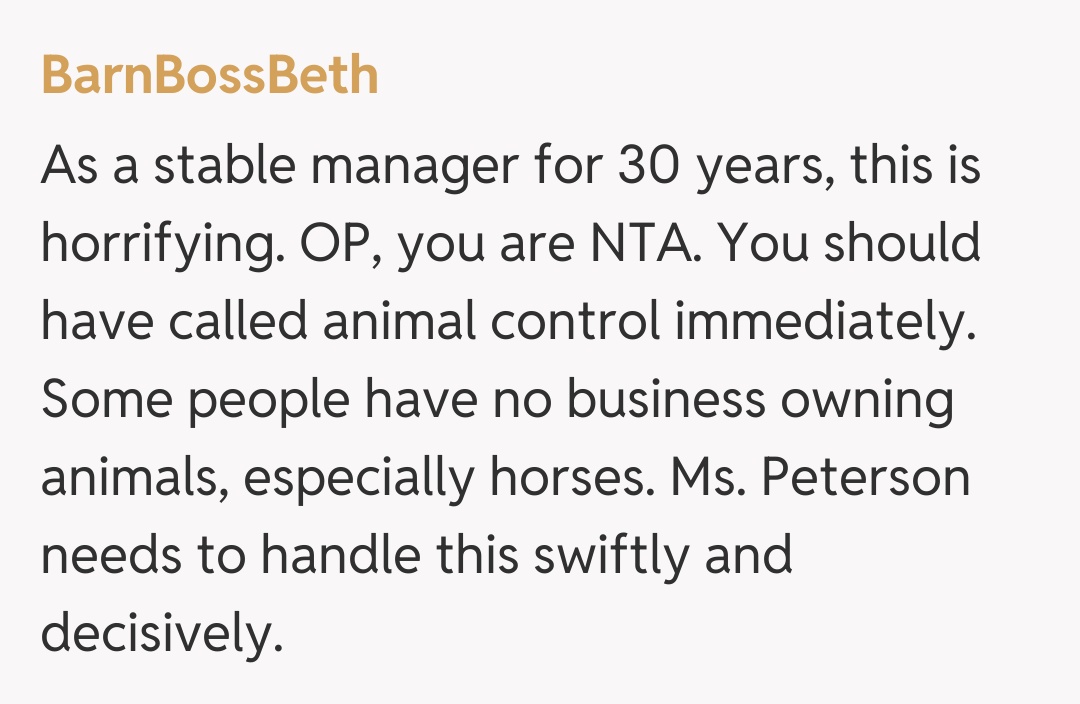 Comentariu de la BarnBossBeth