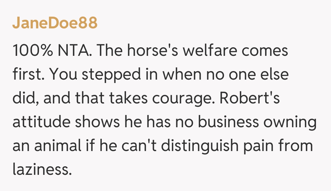 Comentariu de la JaneDoe88