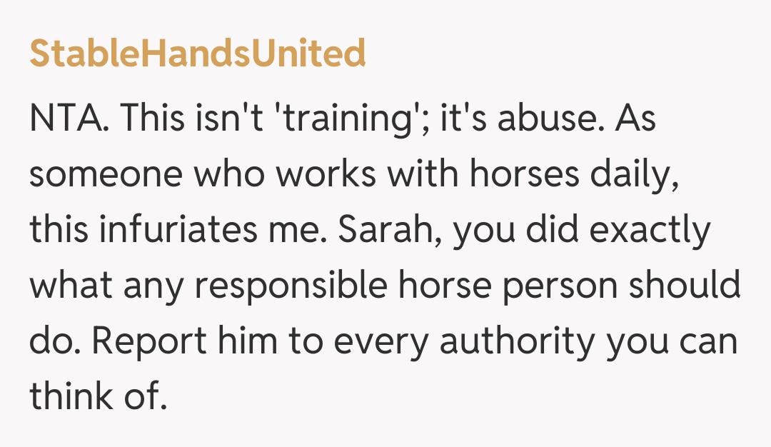 Comentariu de la StableHandsUnited