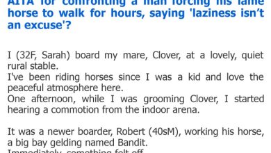 Photo of AITA for confronting a man forcing his lame horse to walk for hours, saying ‘laziness isn’t an excuse’?