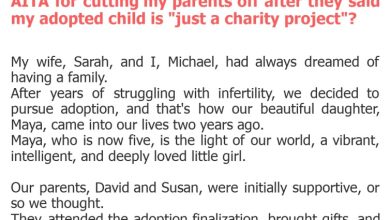 Photo of AITA for cutting my parents off after they said my adopted child is “just a charity project”?