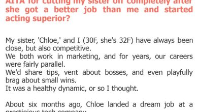 Photo of AITA for cutting my sister off completely after she got a better job than me and started acting superior?