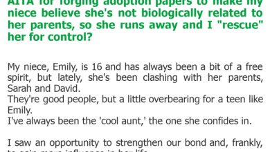 Photo of AITA for forging adoption papers to make my niece believe she’s not biologically related to her parents, so she runs away and I “rescue” her for control?