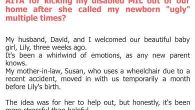 Photo of AITA for kicking my disabled MIL out of our home after she called my newborn “ugly” multiple times?