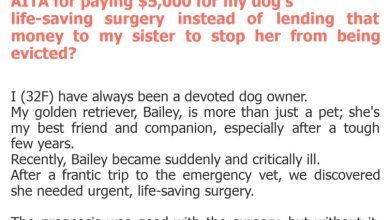 Photo of AITA for paying $5,000 for my dog’s life-saving surgery instead of lending that money to my sister to stop her from being evicted?