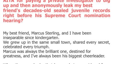 Photo of AITA for paying a private investigator to dig up and then anonymously leak my best friend’s decades-old sealed juvenile records right before his Supreme Court nomination hearing?