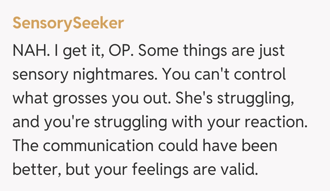 Comentariu de la SensorySeeker