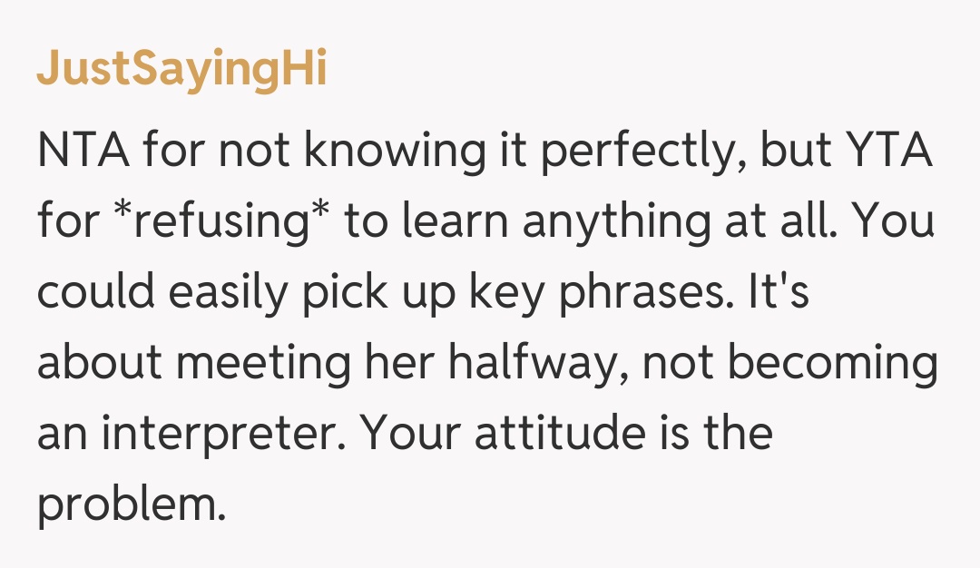 Comentariu de la JustSayingHi