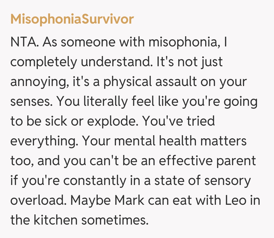 Comentariu de la MisophoniaSurvivor