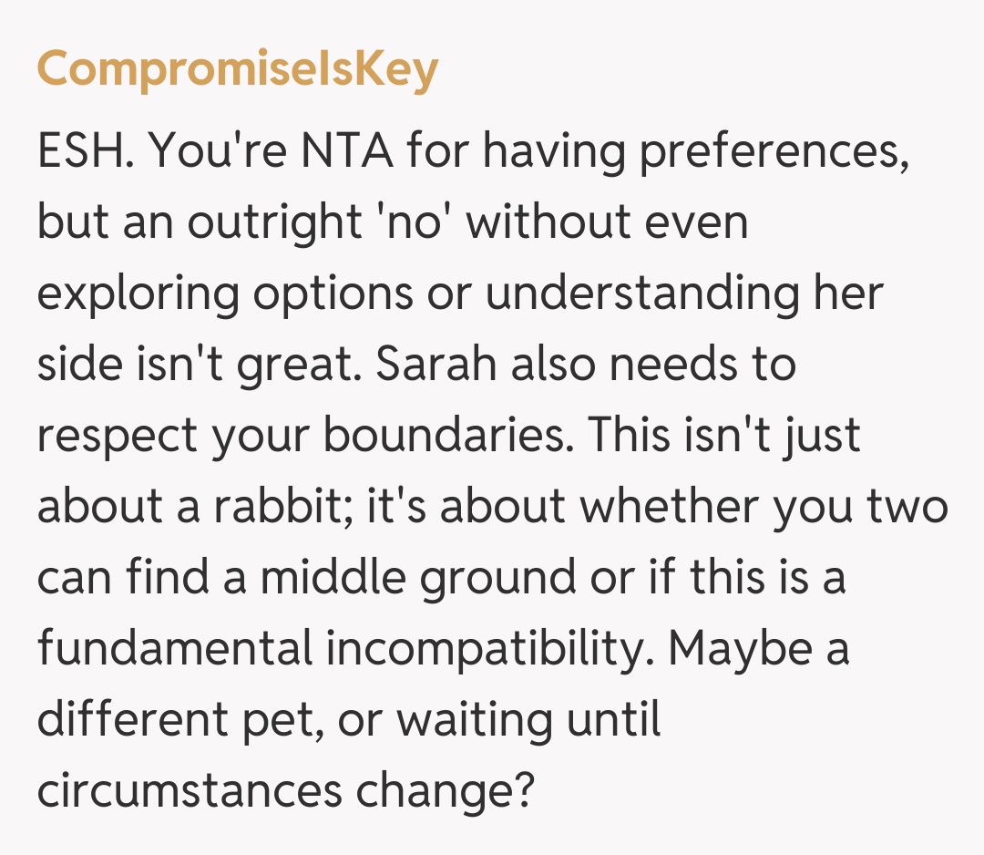 Comentariu de la CompromiseIsKey