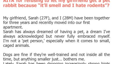 Photo of AITA for refusing to let my girlfriend get a pet rabbit because “it’ll smell and I hate rodents”?