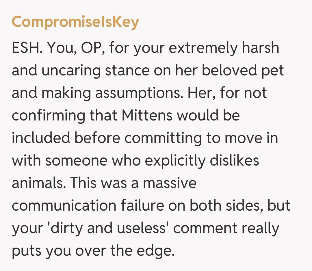 Comentariu de la CompromiseIsKey