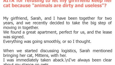 Photo of AITA for refusing to let my girlfriend keep her cat because “animals are dirty and useless”?