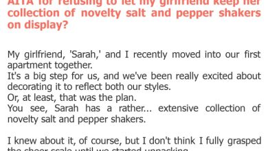 Photo of AITA for refusing to let my girlfriend keep her collection of novelty salt and pepper shakers on display?