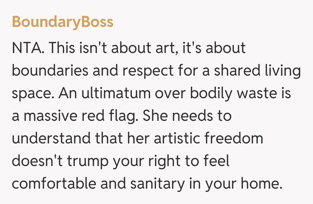 Comentariu de la BoundaryBoss