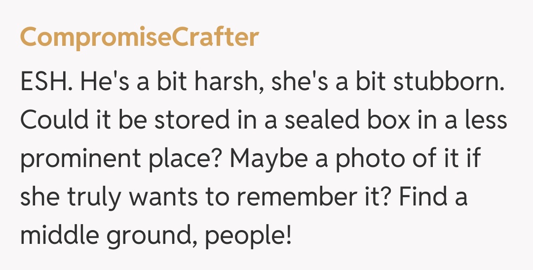 Comentariu de la CompromiseCrafter