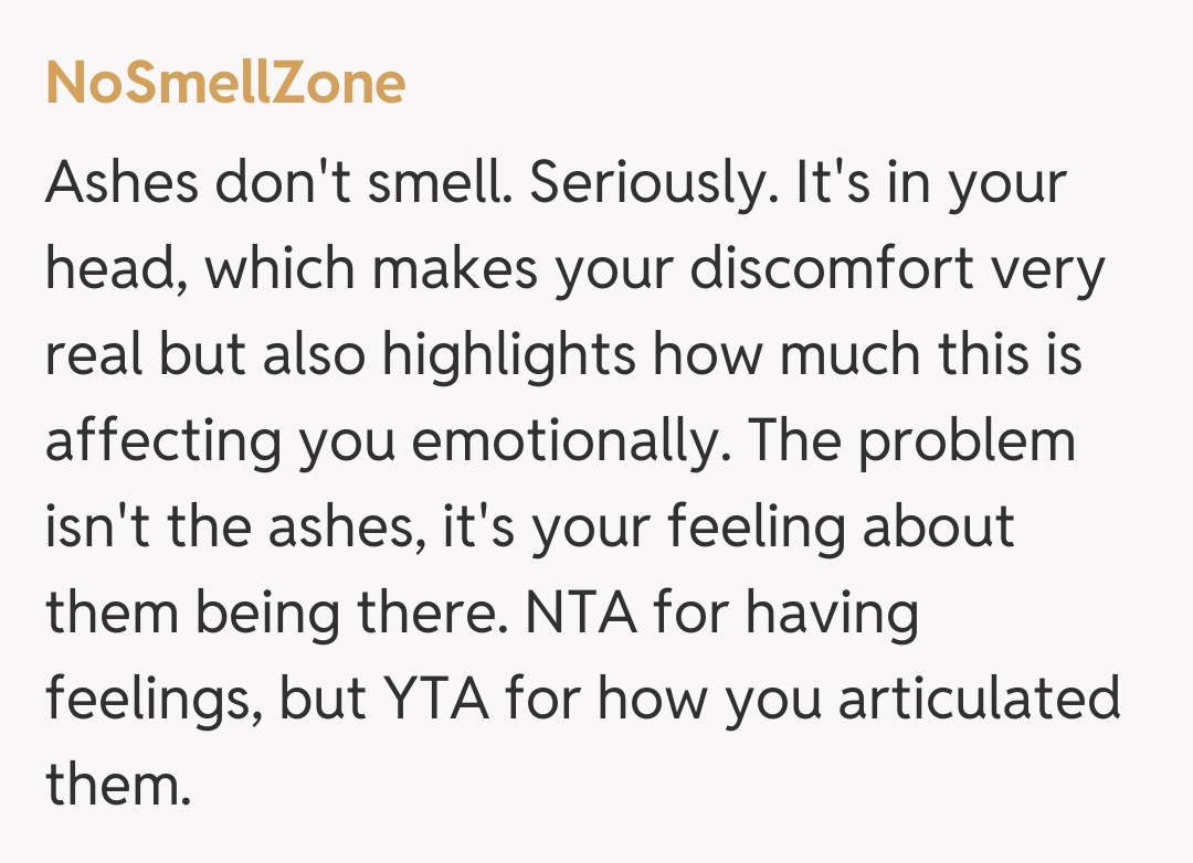 Comentariu de la NoSmellZone